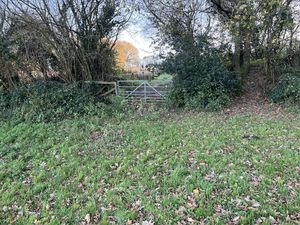 Photo 4- click for photo gallery